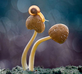 短信在线呼死你2023