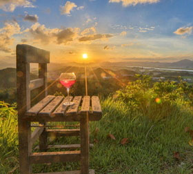 呼死你在线使用